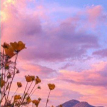 每日一善 每日一善 阳光信用 人生就那么短，不要为了变成别人喜欢的样子，委屈了自