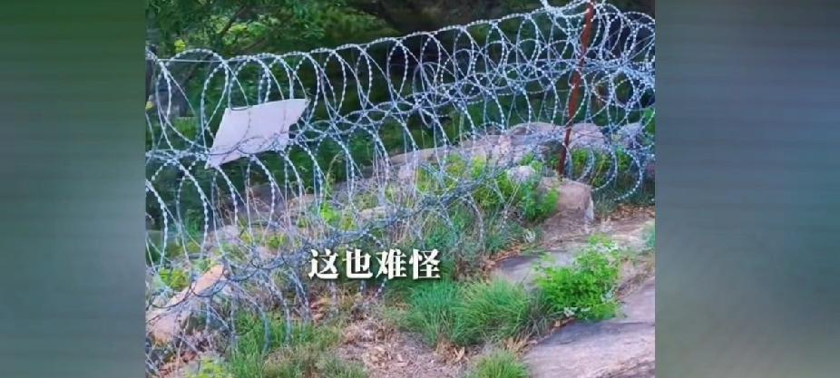泰山景区花2519万
安装刀片铁丝网     
上了热门榜  
网友们都说，花2