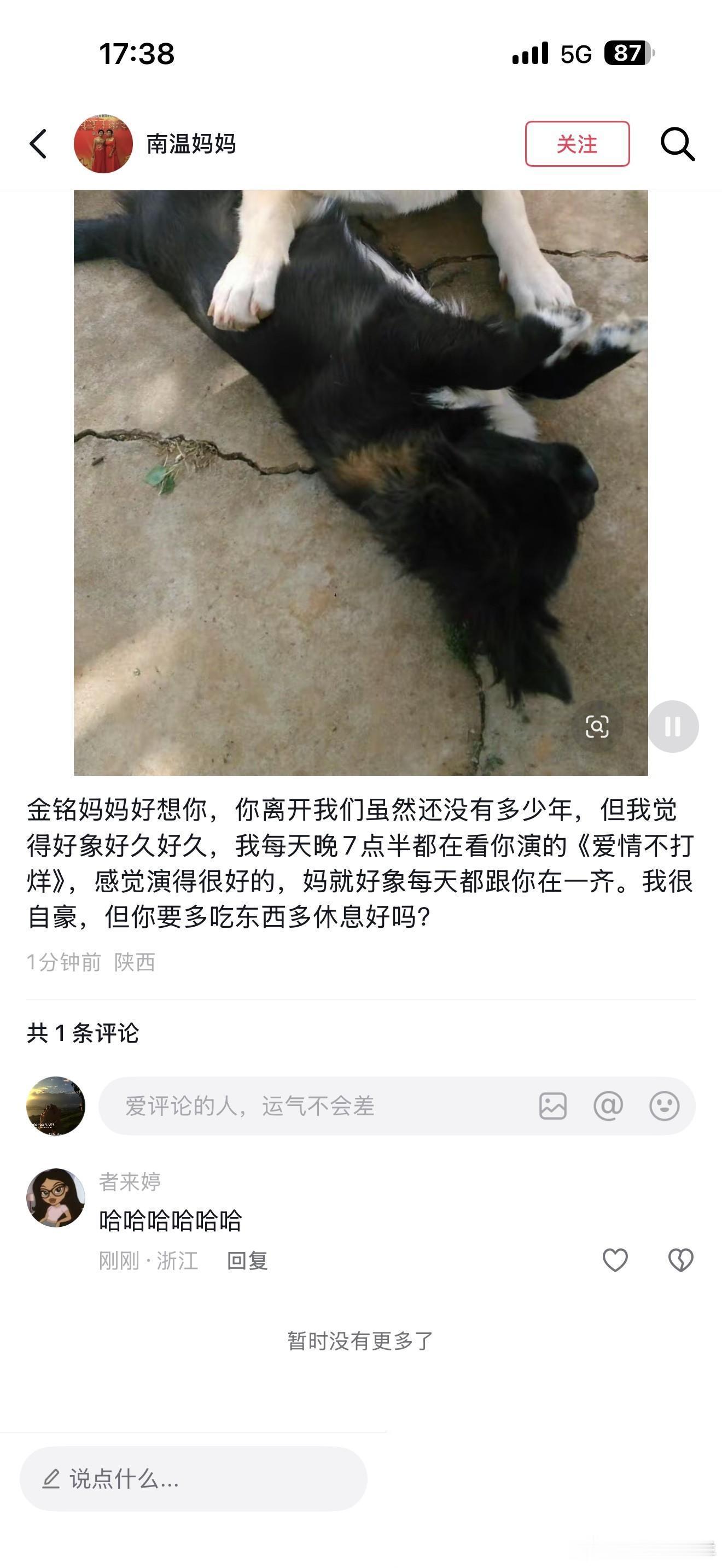 李金铭当年参加的那档农村综艺节目，那家人居然还在发她，字里行间看得头皮发麻。 2
