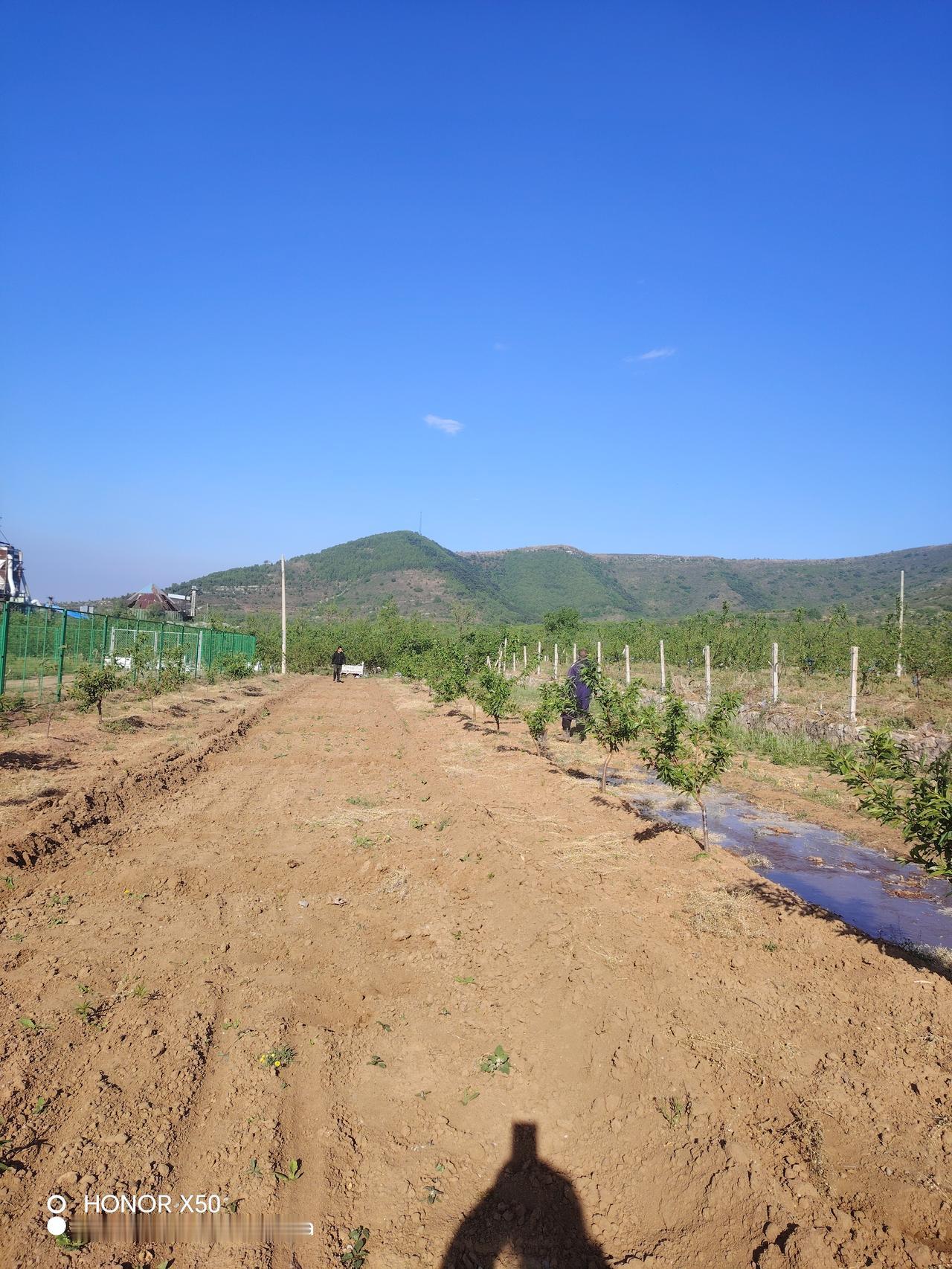春日生活打卡季春天来了，万物复苏，燕山山脉披上了绿装，山脚下的小树吐出新绿，长出