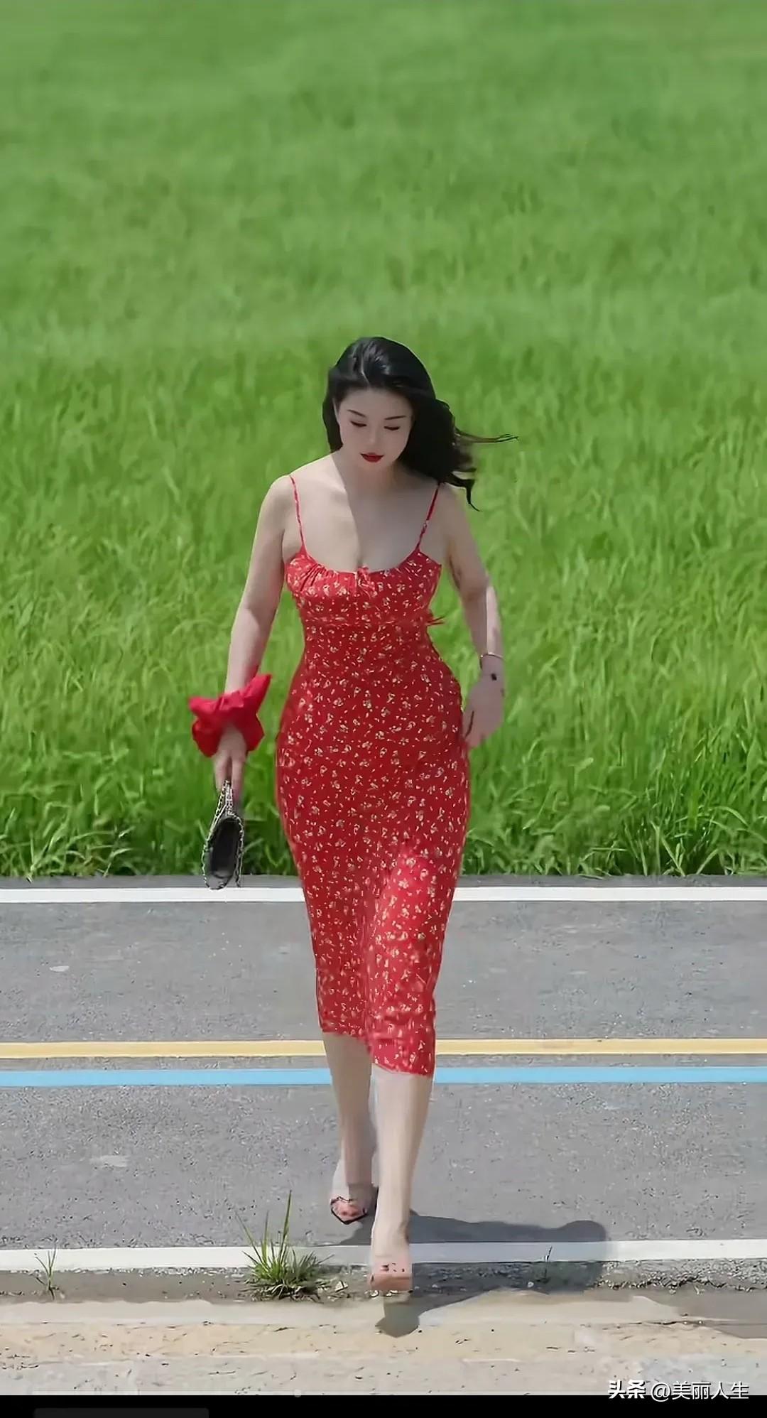 丁香公园……
