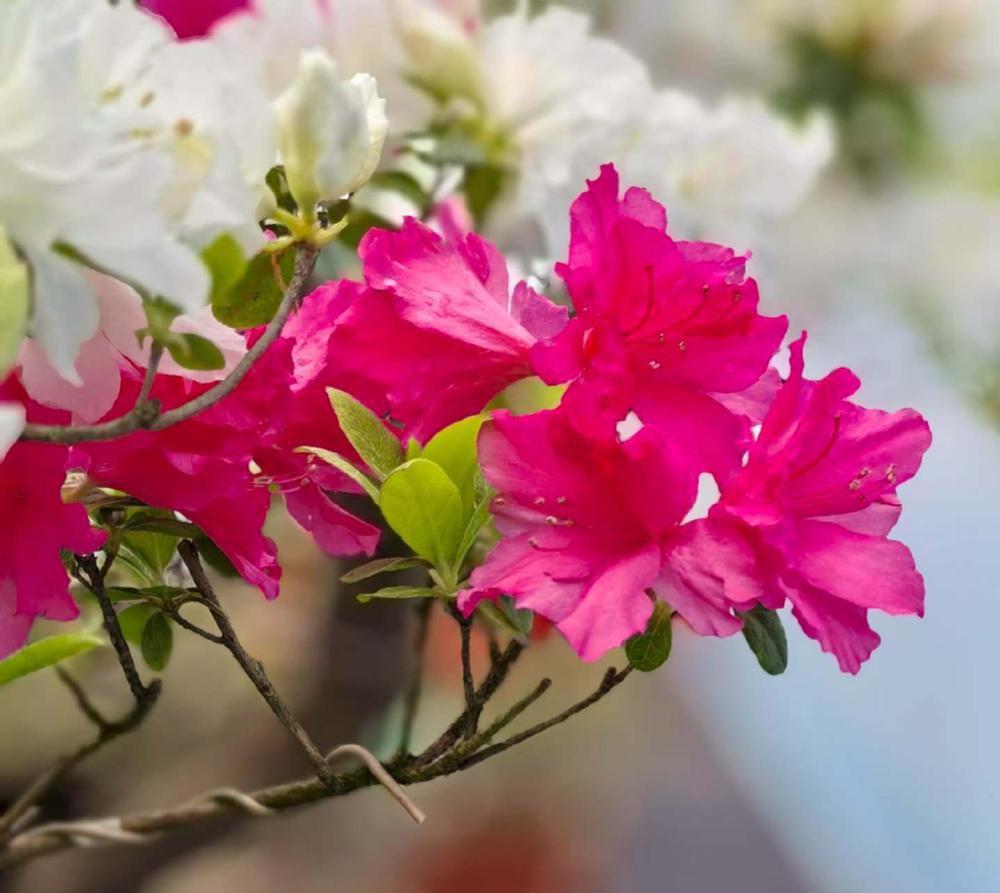 北大第一任校长严复说：
“缺钱，顶多丢一时体面；精神贫瘠，才会困住人一辈子。”