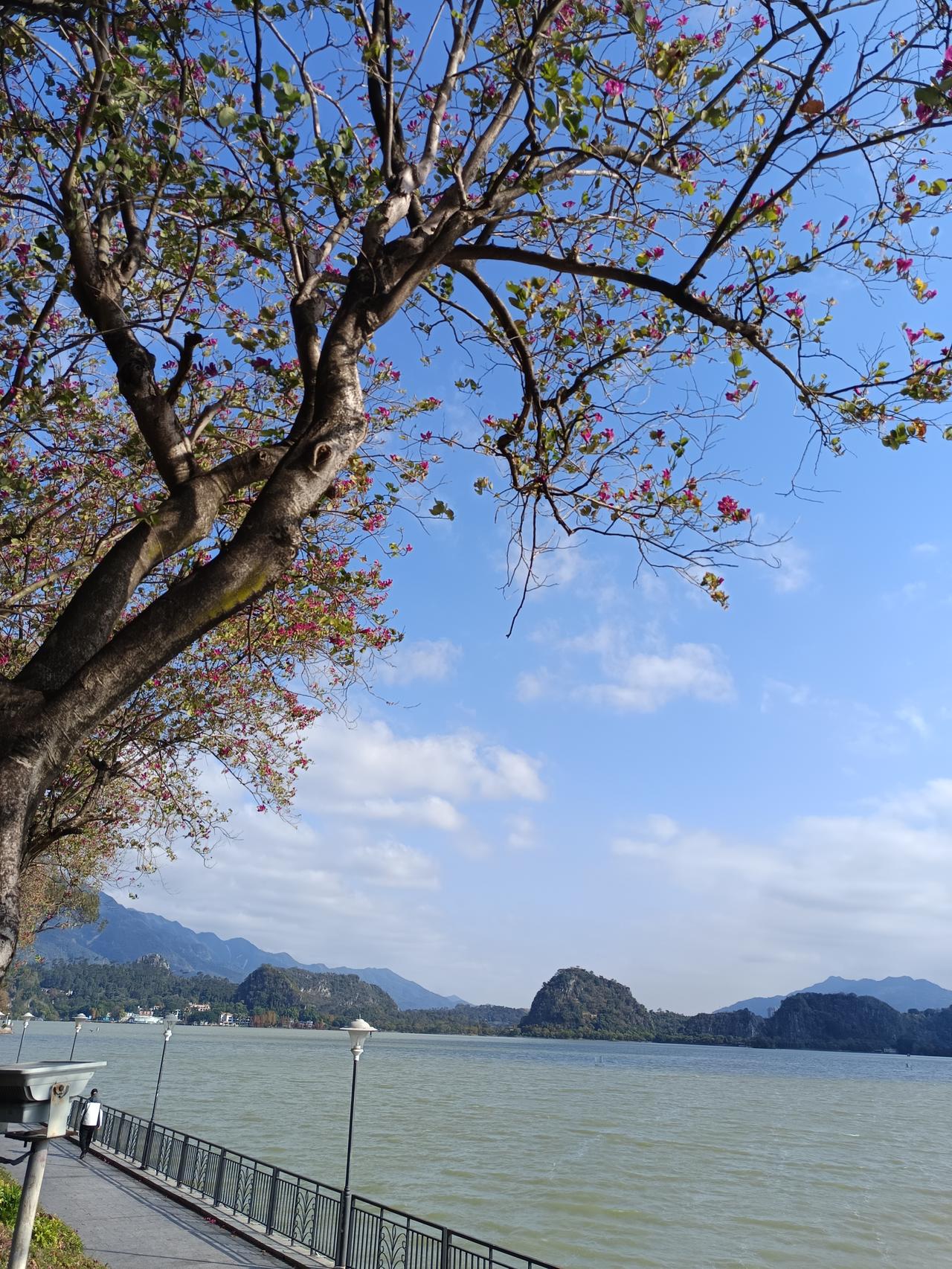 看到肇庆七星岩是5a级风景区，我忍了
看到肇庆鼎湖山也是5a级风景区，我也忍了