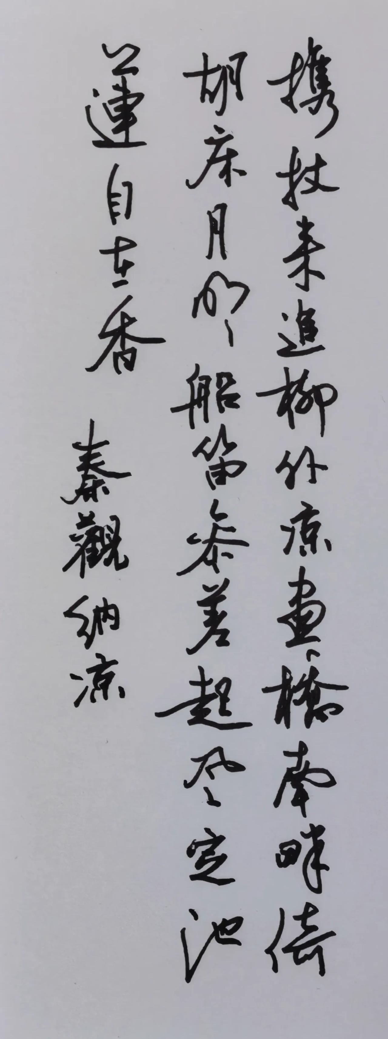 钢笔抄写，笔意松弛清雅，行笔舒缓自然，恬淡的气息和这首纳凉小诗意境相合。
释文：