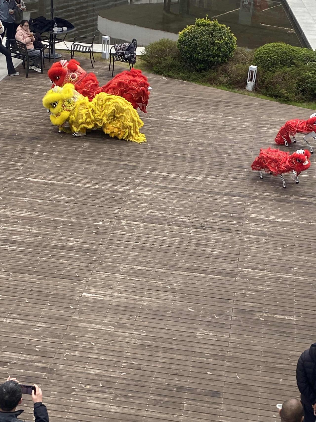 我的2026，
没有惊天动地，只有脚踏实地。
有过迷茫，也有过坚持；
有过遗憾，