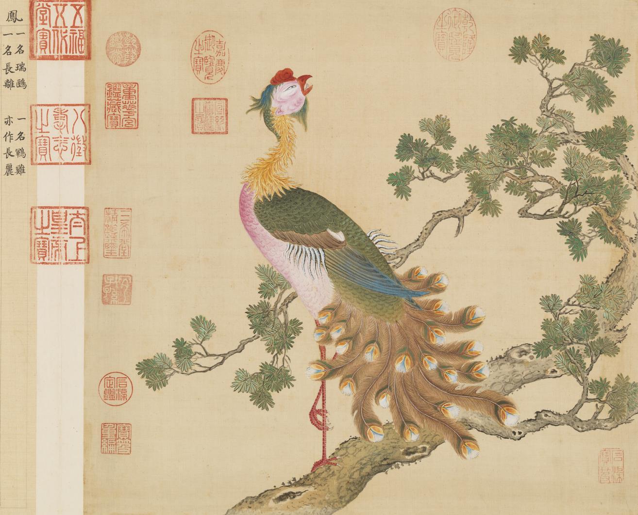 老祖宗笔下栩栩如生的鸟类（1）。此《鸟谱》系列图由清乾隆时期宫廷画师余...