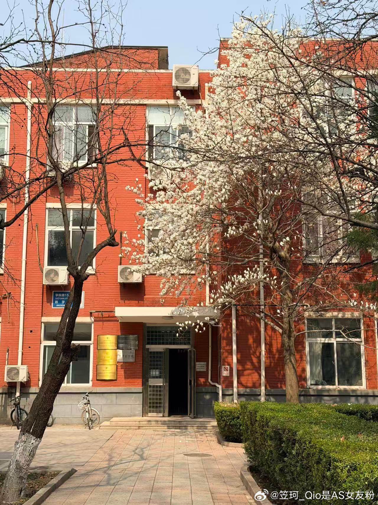 忙碌的周末 放学后