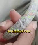 [赞]#女子高空作业 楼下一业主割安全绳#如何对付那些变老的坏人，法律真的没有办