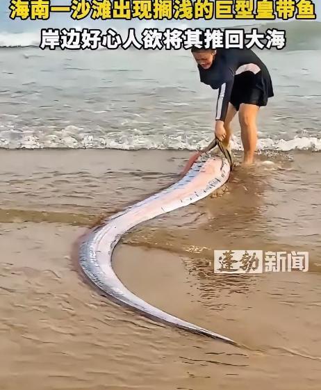 太罕见了！海南，女子在海边游玩时，突然发现有个东西被海水冲了上来，上前一看竟然是