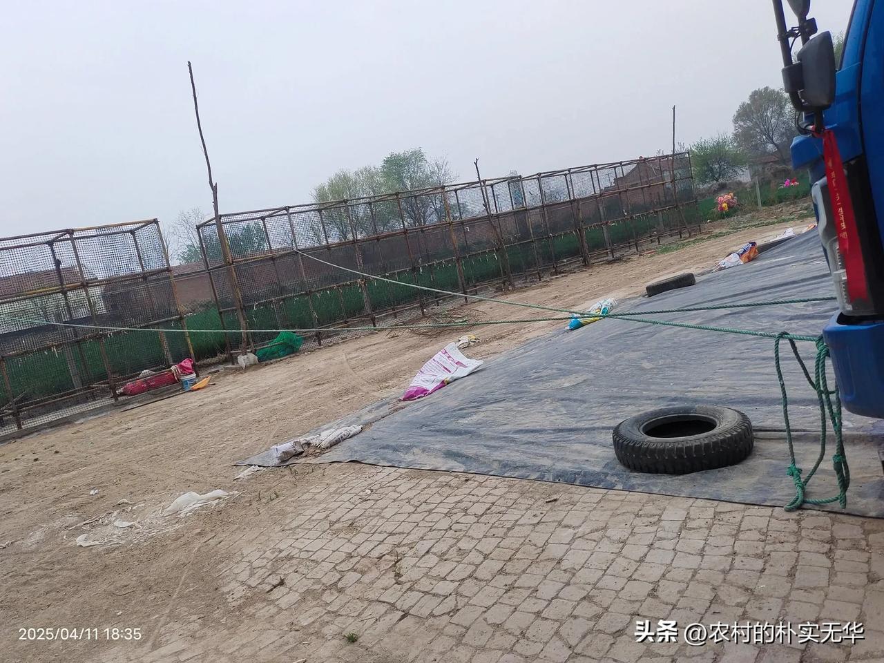 今明两天河北大风降温上线，最大风力八级以上，短时阵风达十一二级！请大家做好防风准