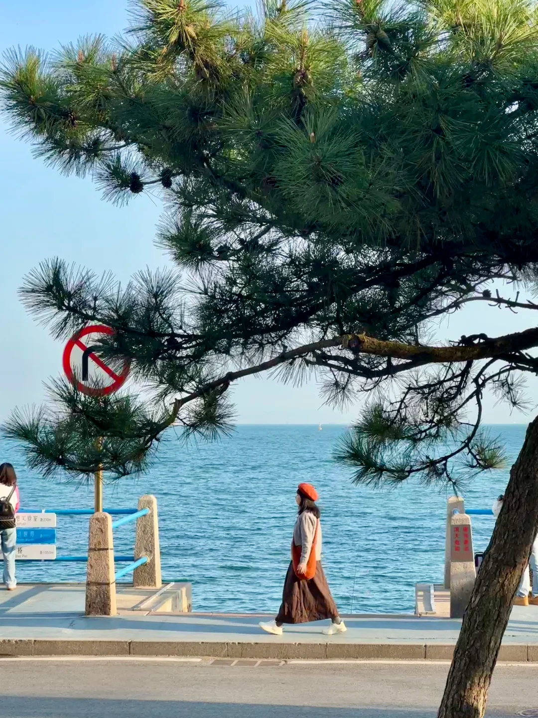 为了这18张图❗️我专门飞了一趟青岛