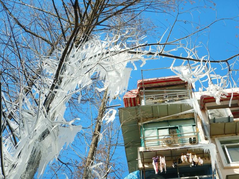 2026年1月4日，东北某地一住户忘关水龙头，家里直接变成了“冰山”，室内地面、
