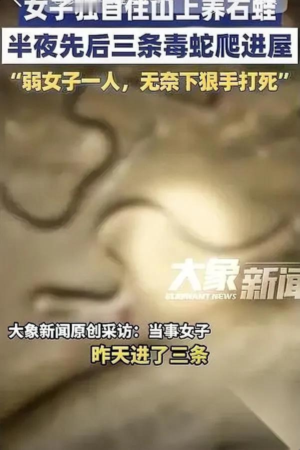 女子夜遇三条毒蛇！

她竟做了这个举动…

湖南永州这位守蛙女是真狠人！深夜屋内