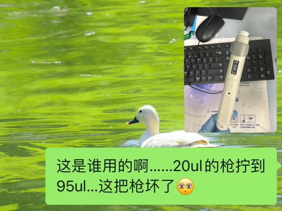 这年头蠢*也能读研🥲