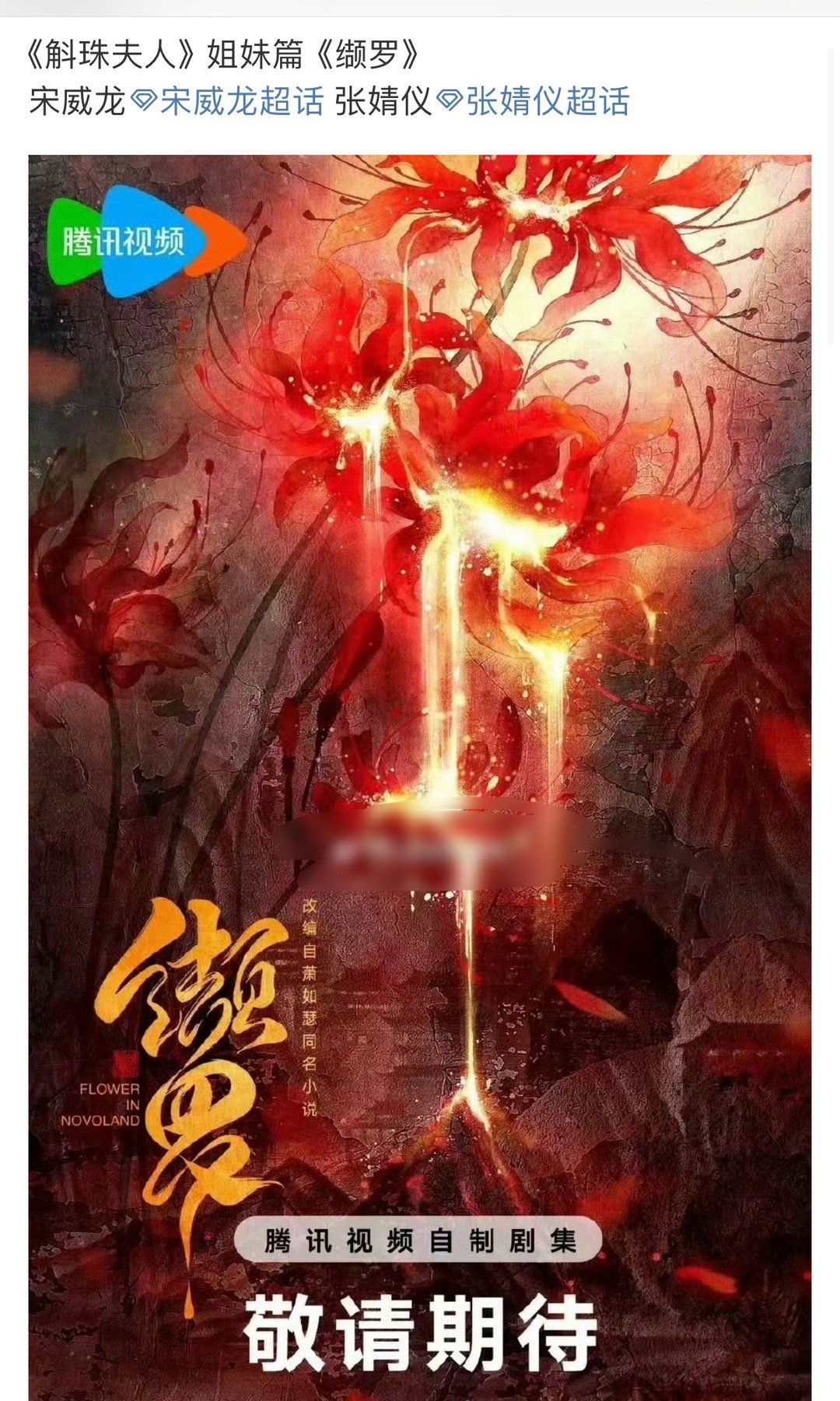 网传宋威龙和张婧仪将出演《斛珠夫人》姐妹篇《缬罗》，你期待两人的合作吗？ ​​​