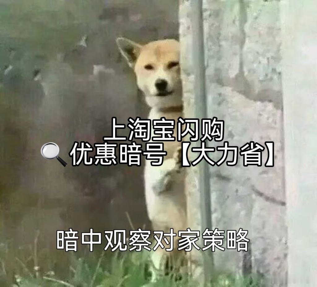 五分钟进球太过瘾，全场瞬间沸腾！约上好友冲淘宝闪购搜【大力省】，批量下单多多啤酒