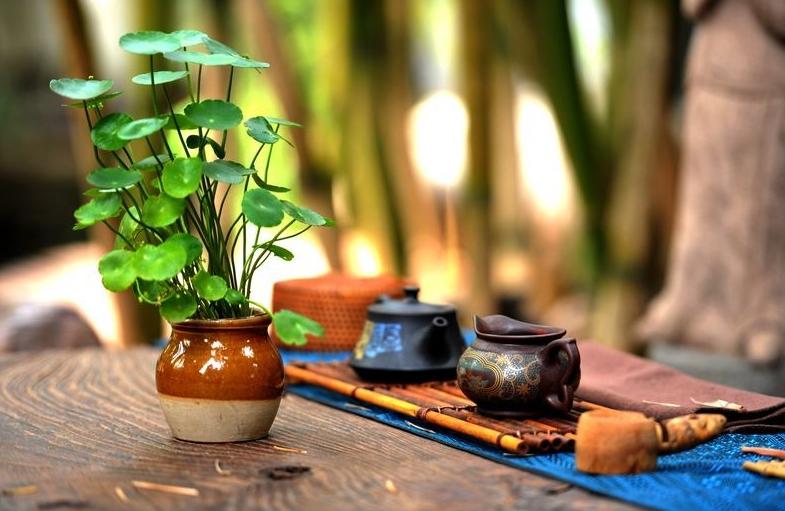 望江南 · 穀雨遐想

塵不染，
恩澤韻流香。
時雨無私千樹色，
新風箴語萬枝祥