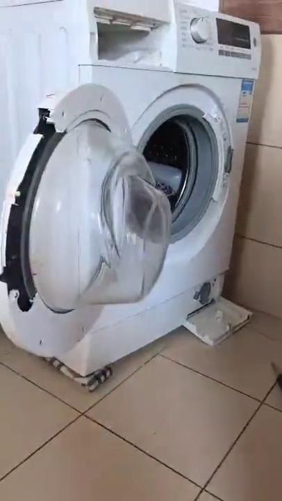 这波操作都看傻了，钻洗衣机里头洗了，这能行吗？这还能活不？