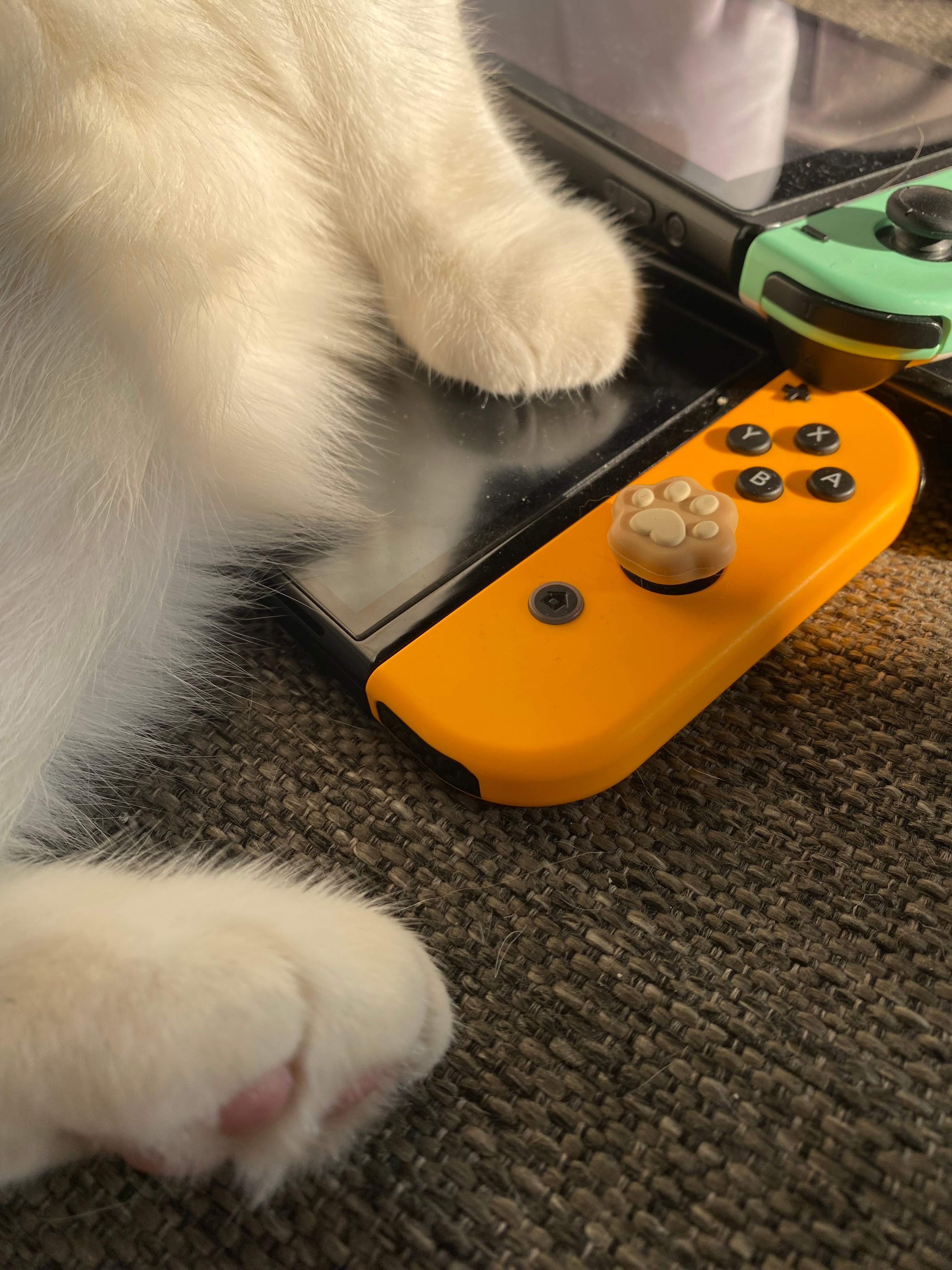 久等了！球球牌托儿所的日记！（前两天太忙了一直没整理）11.23妈妈们出门了，泡