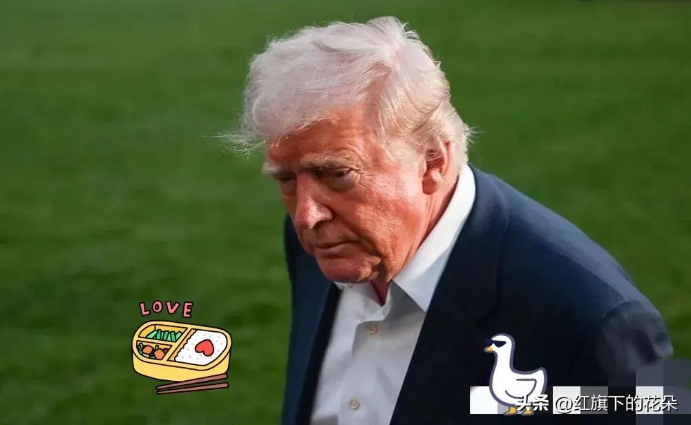 冲突背后的关键较量，谁掌握原料谁更有底气

冲突发生不久，一些国家军队的装备供应