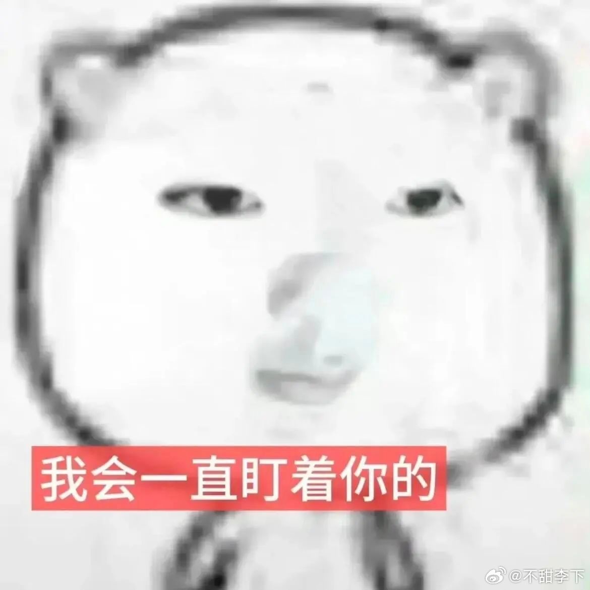 我都不懂像6.1这种进不了组，三天两头爆实锤黑料的艺人，大粉还在天天忽悠小粉固粉