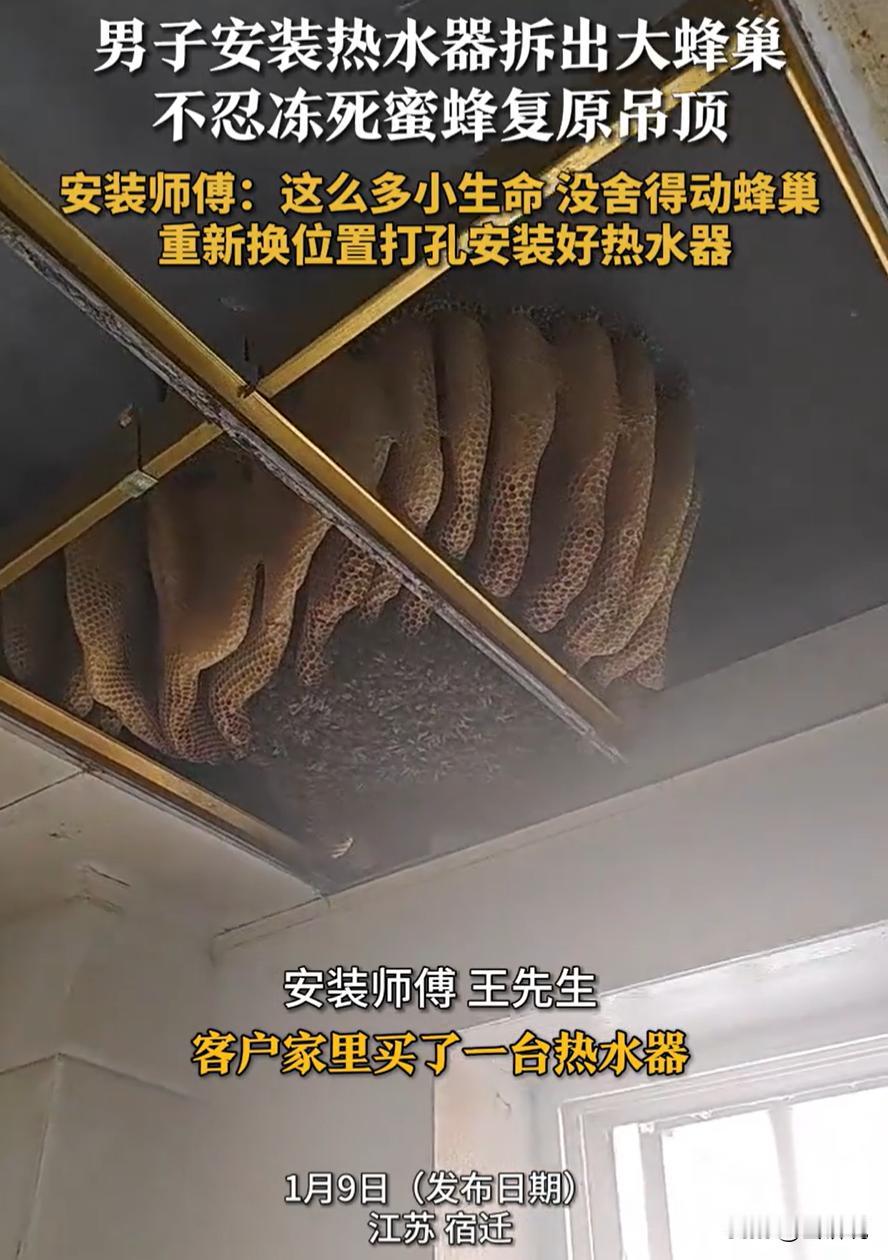 江苏宿迁，一居民家中要安装热水器，可安装师傅拆开厨房吊顶后，却发现里面有一个超大