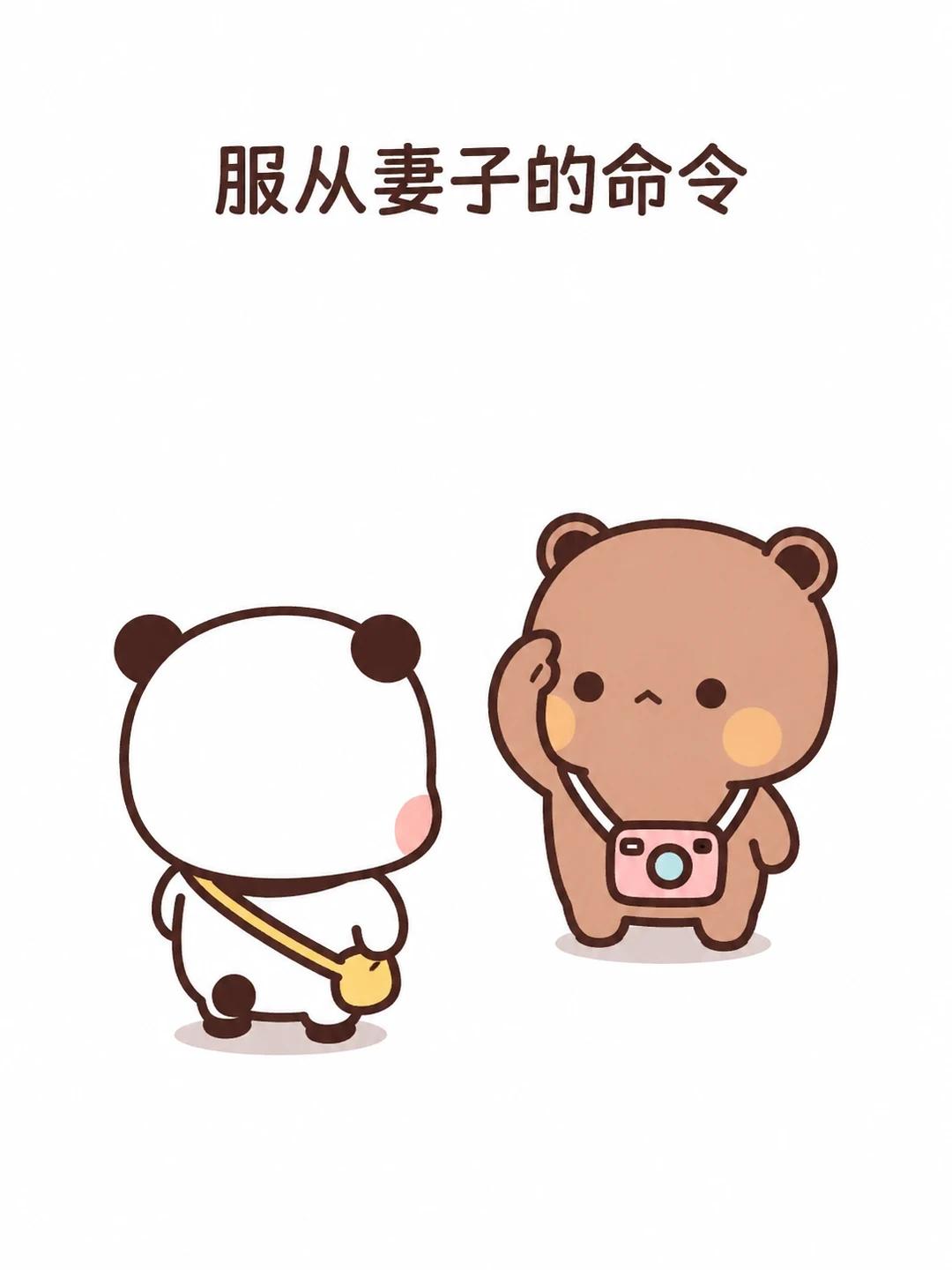 满分男熊布布手册
The Ultimate Guide to Bubu the 