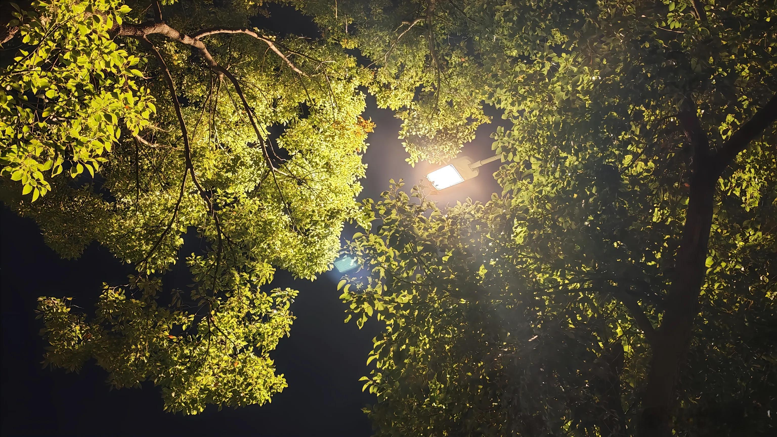 随手拍从出生，到成年，再到中年，一路走来，跌跌撞撞，好的，坏的，真的，假的，都要