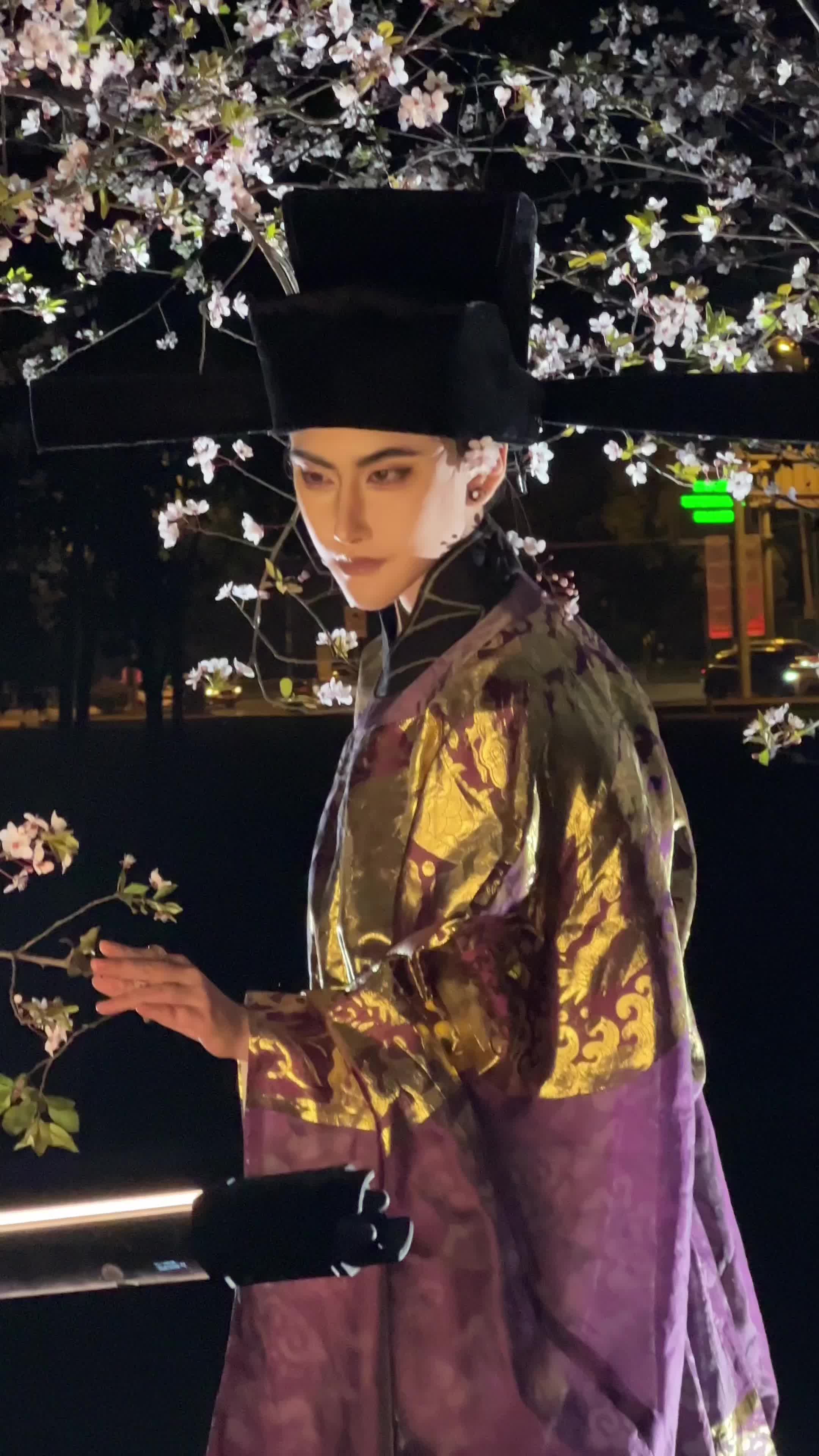 赵光义cos 燕云十六声