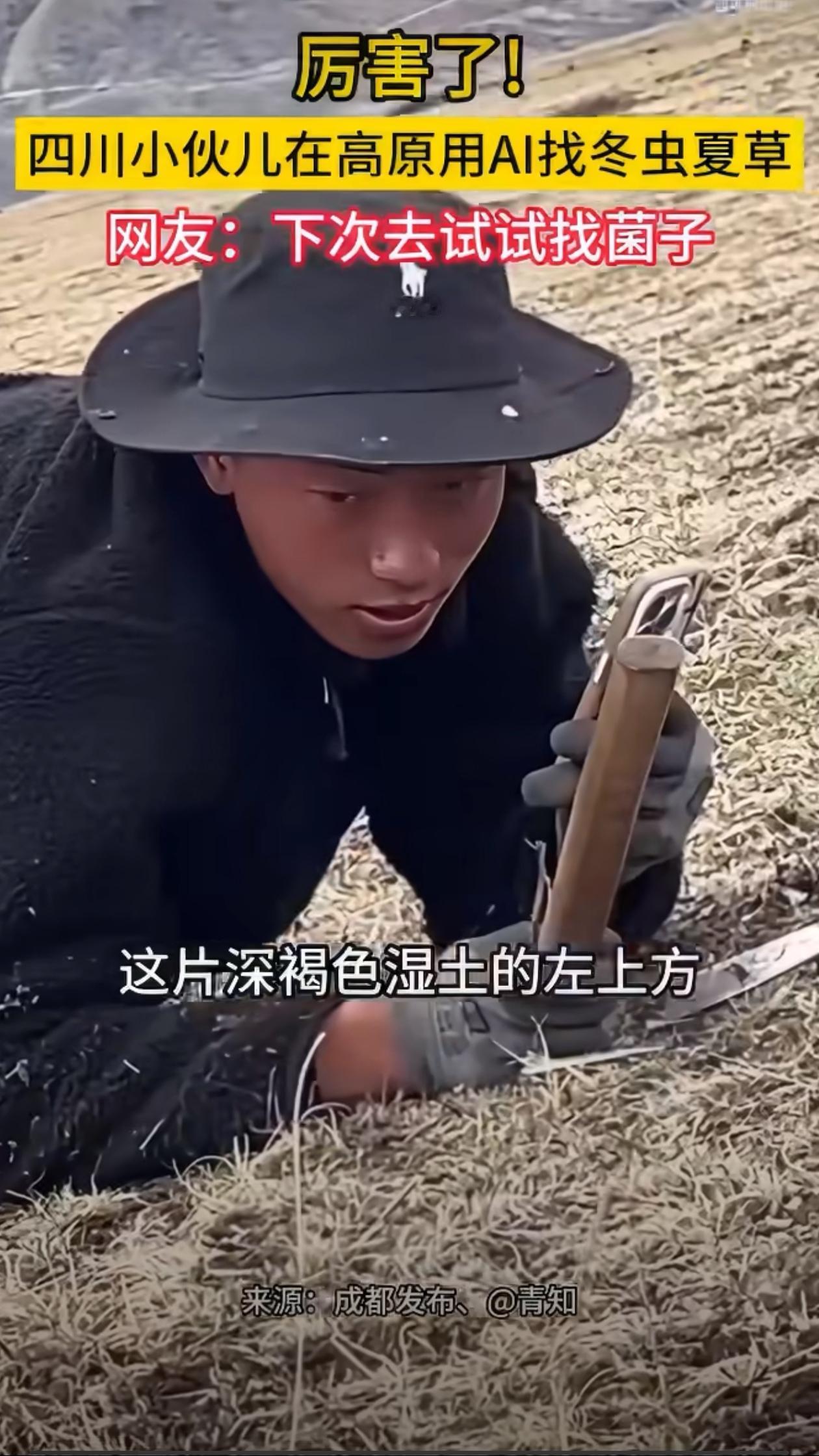 厉害了！四川小伙儿在高原用AI找冬虫夏草。网友:终于明白为什么豆包要收费了！