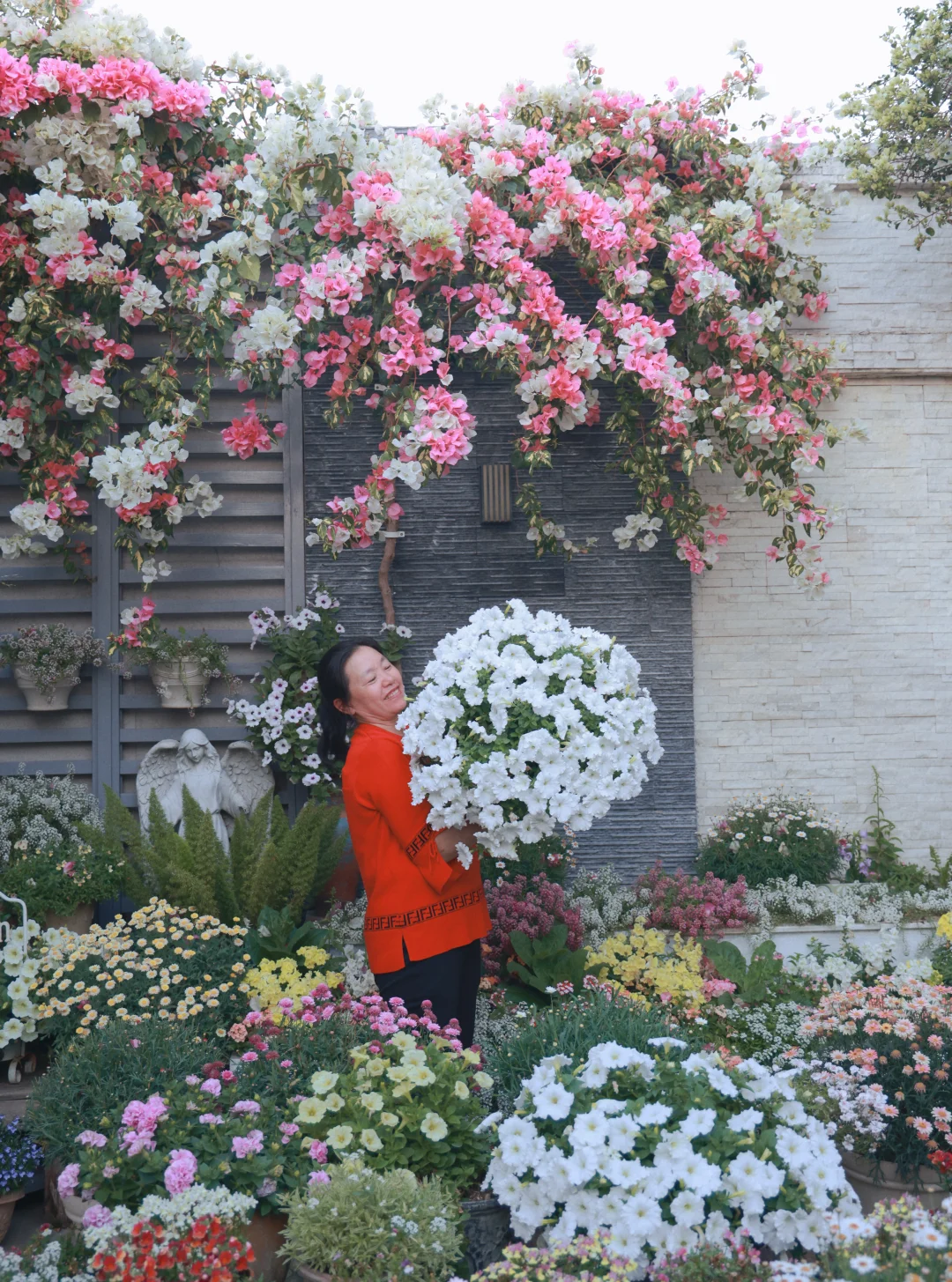 花之大🥰我妈抱不下哈哈哈