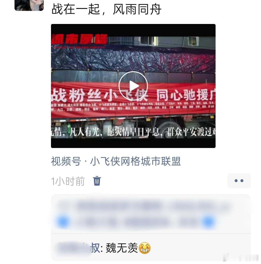 谁懂我pyq分享小飞侠公益视频，然后我叔叔在底下评论了一句“魏无羡”，没有照片，