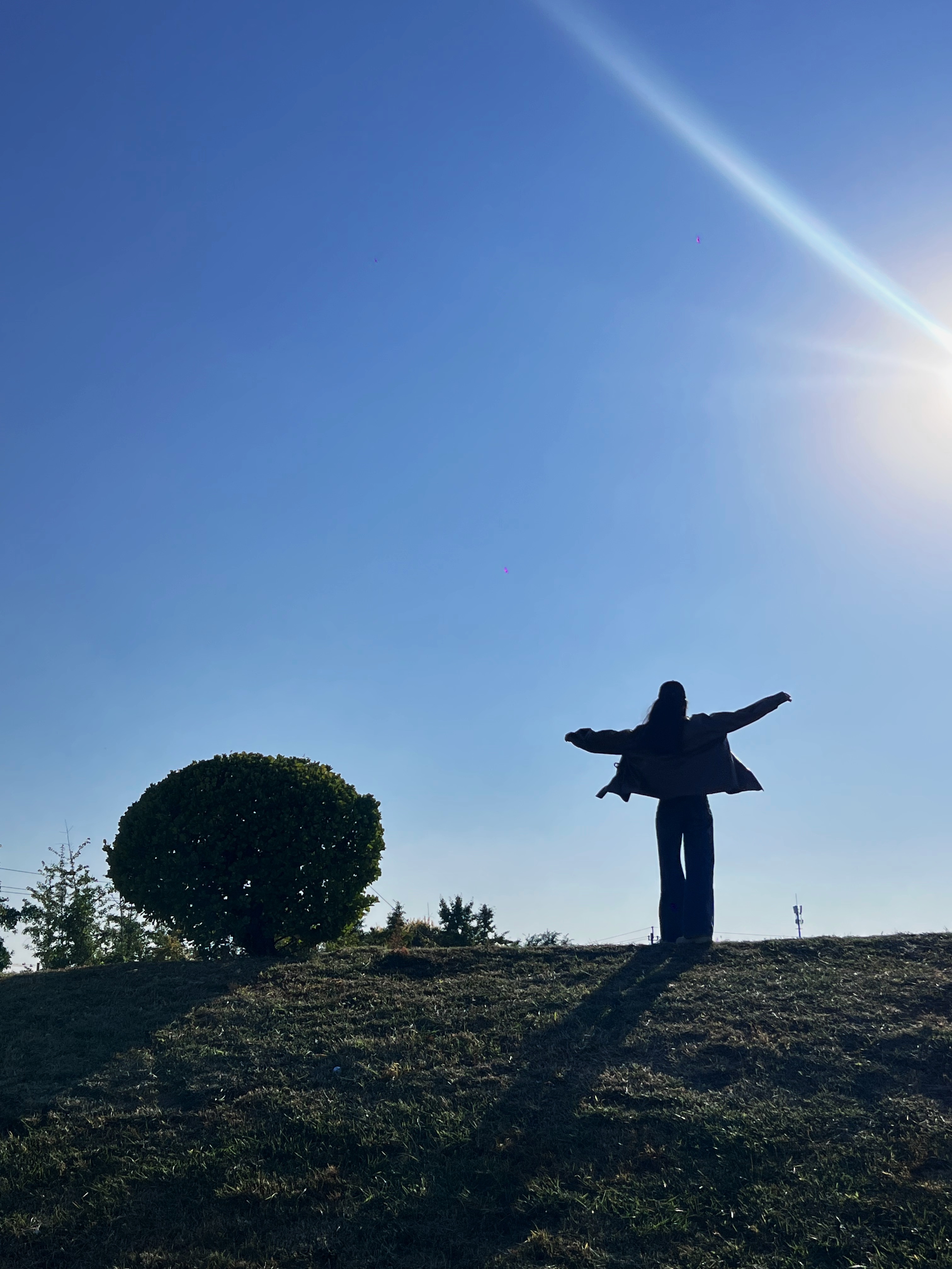 有小狗的日子都是假期呀新气垫get✌🏻️ #养狗就别在家里健身了# ​​​