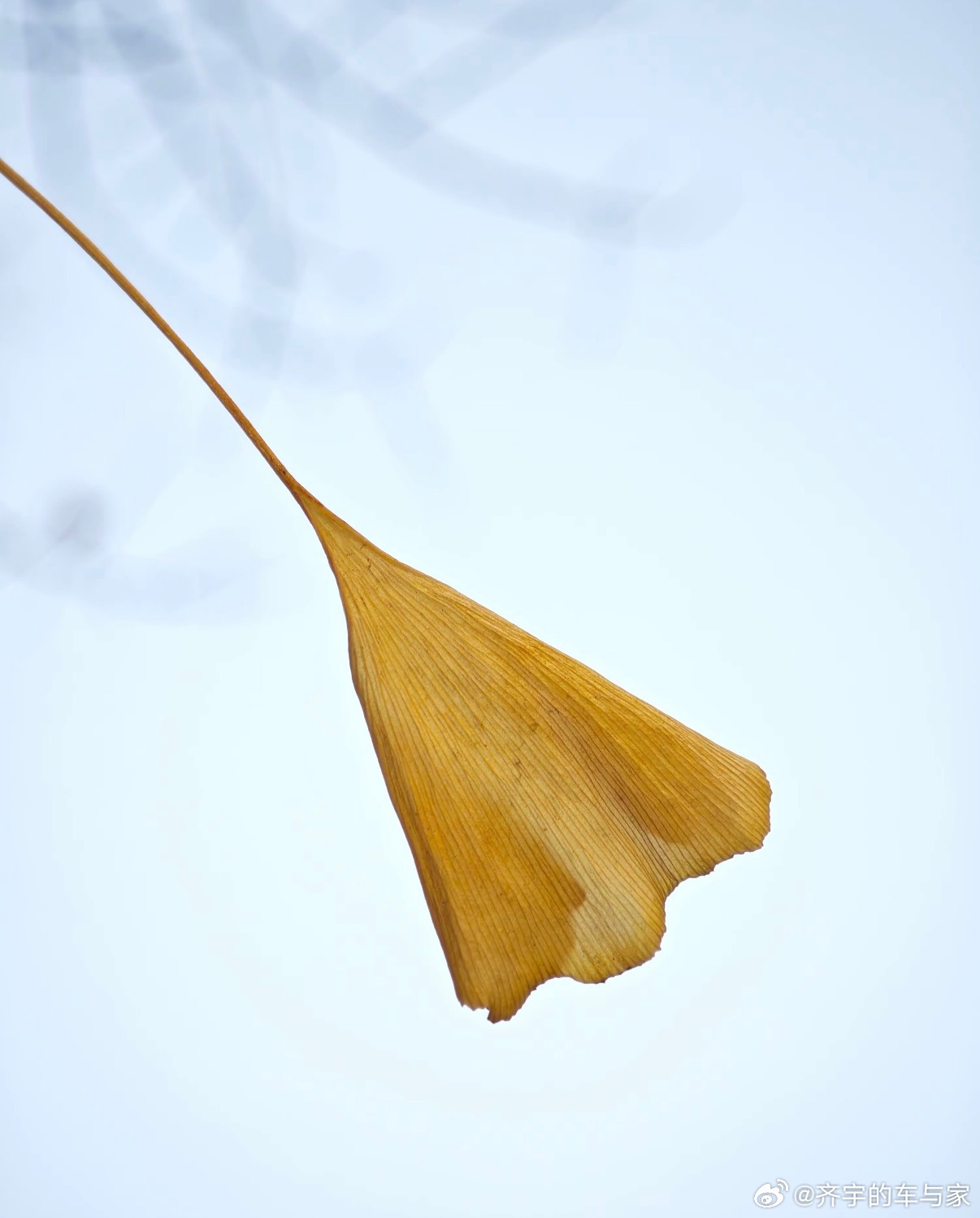 81192请求返航，我们已经领先了 