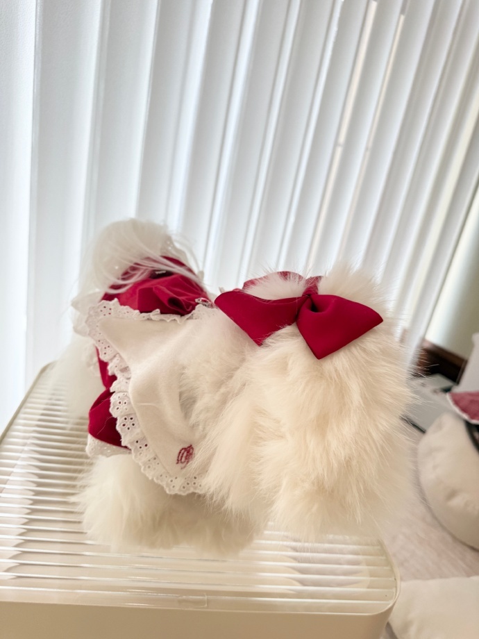 祝绪丹进宝两岁啦进宝两岁生日快乐，愿这只在春分龙抬头出生日的小宝贝，永远被宠爱，