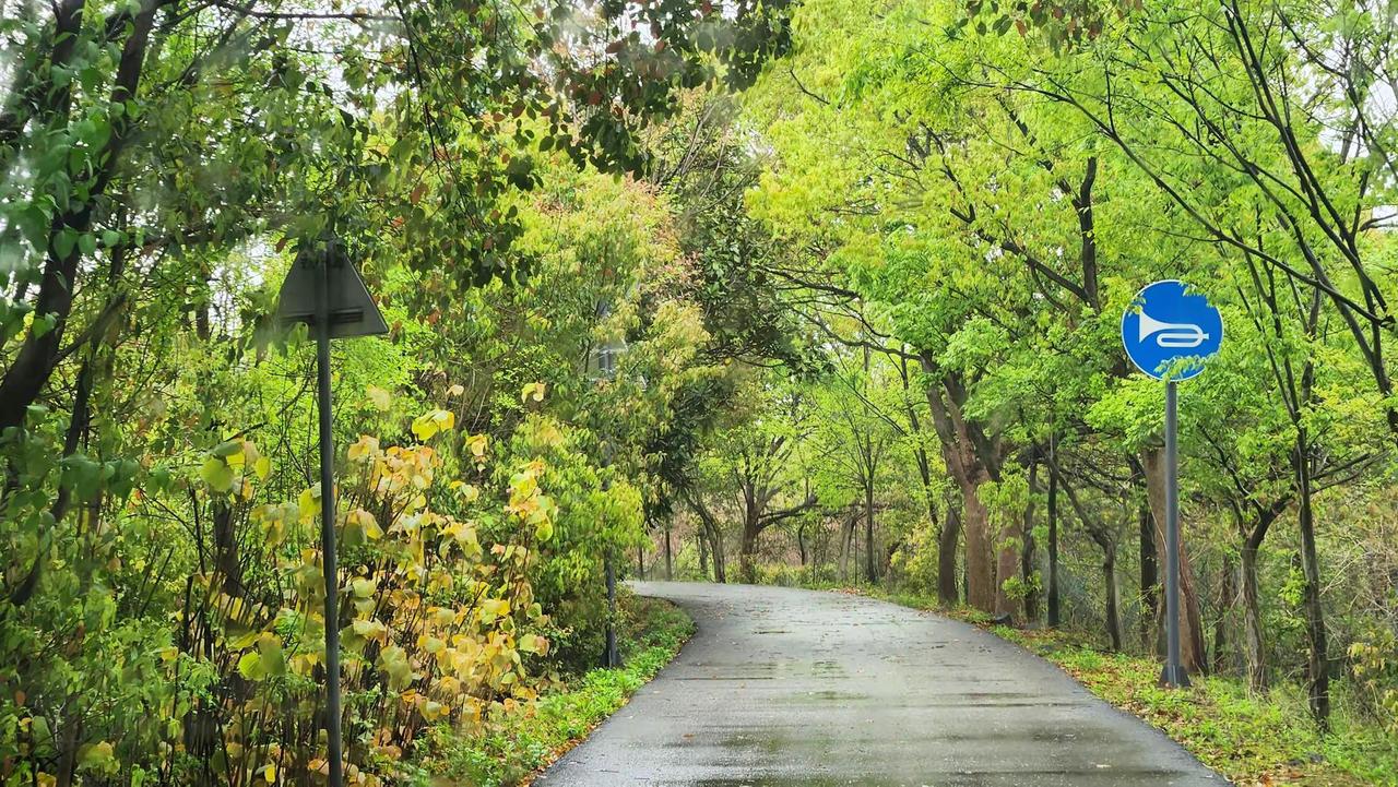 穿行溧水的绿野藏温柔🌿你的家乡，是什么样的乡间小路？晒一晒～