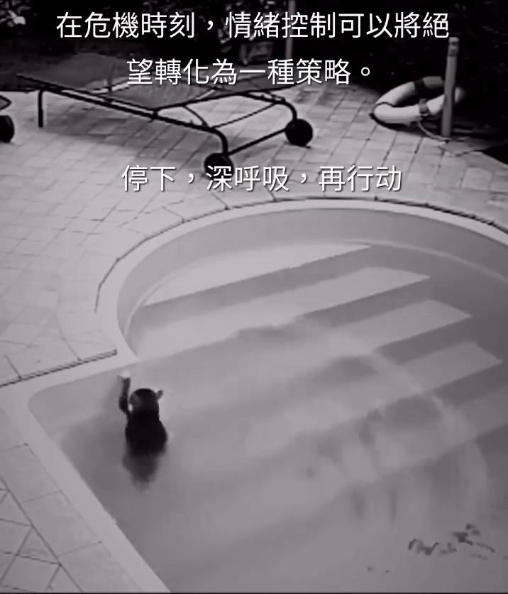 在危机时刻，情绪控制可以将绝望转化为一种策略。停下，深呼吸，再行动。