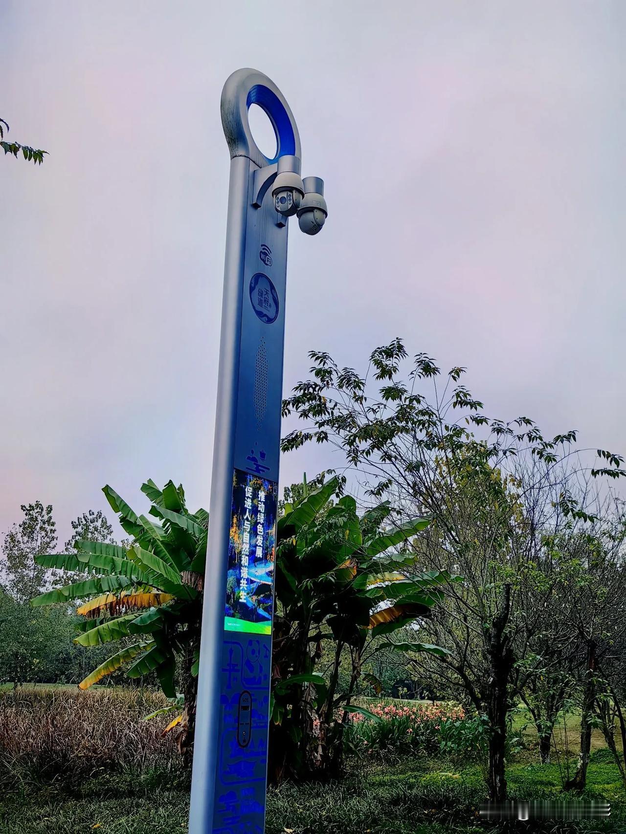 头次见到有如此现代感的灯柱：监控探头
