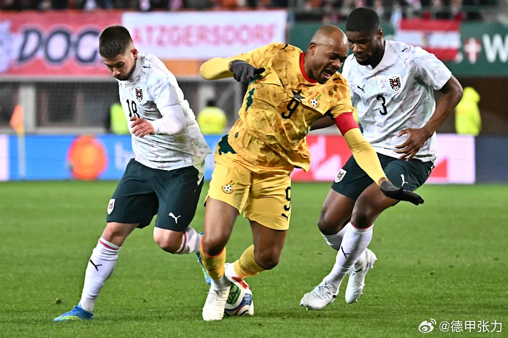 作为德国队下一个热身赛对手，加纳在维也纳准备和奥地利热身赛的时候，遇到了梁上君子