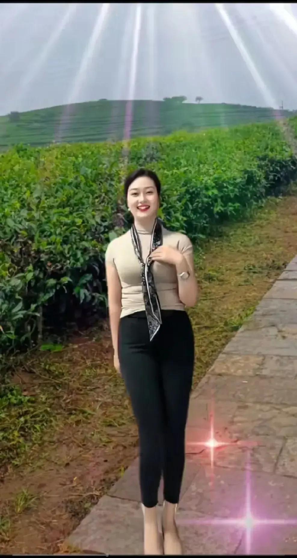 阳光洒茶园
风情美如画