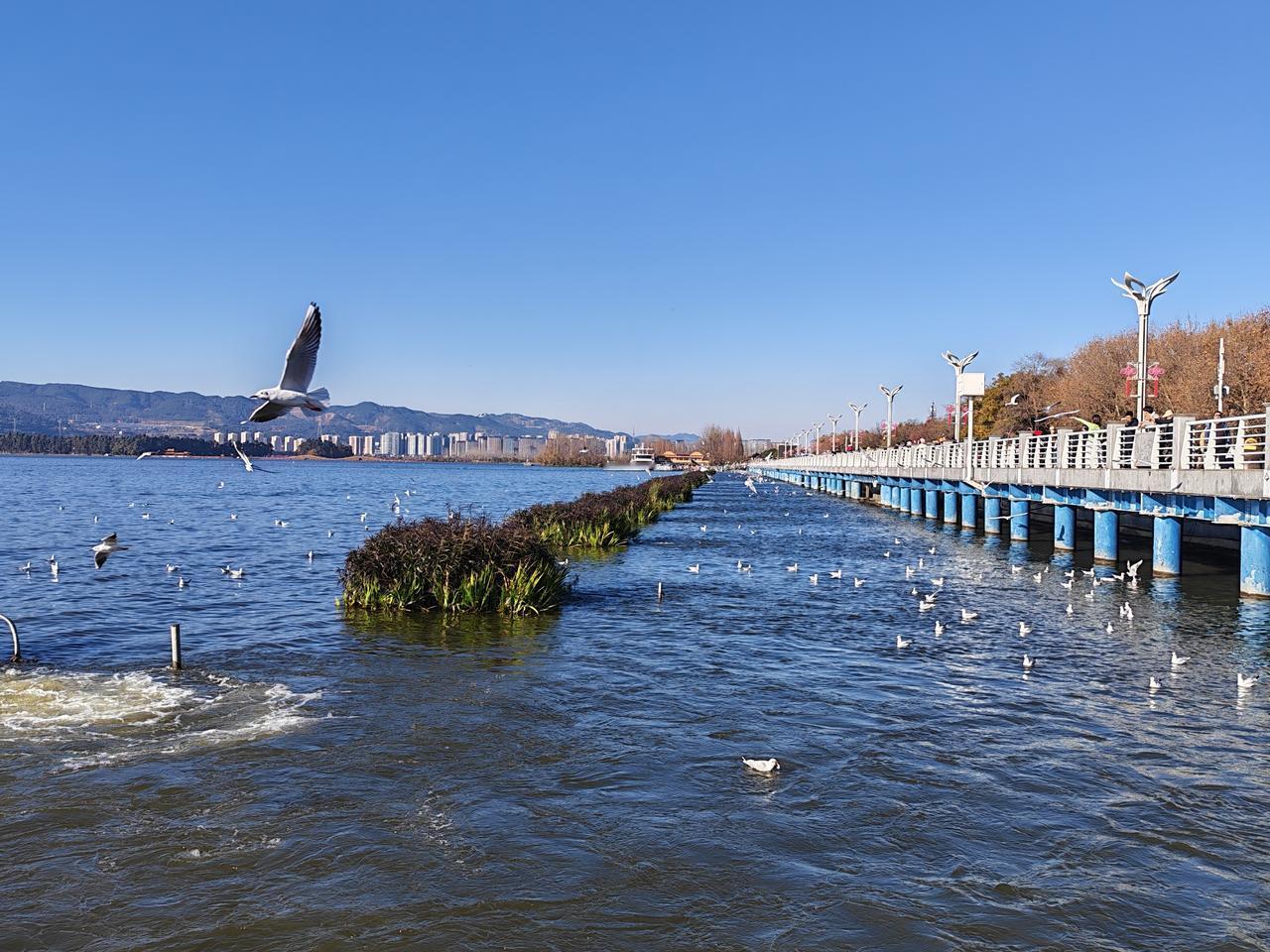美国是喀斯特地貌吗？咋的有这么多石头？
   总是搬起石头砸自己的脚，难道不痛吗