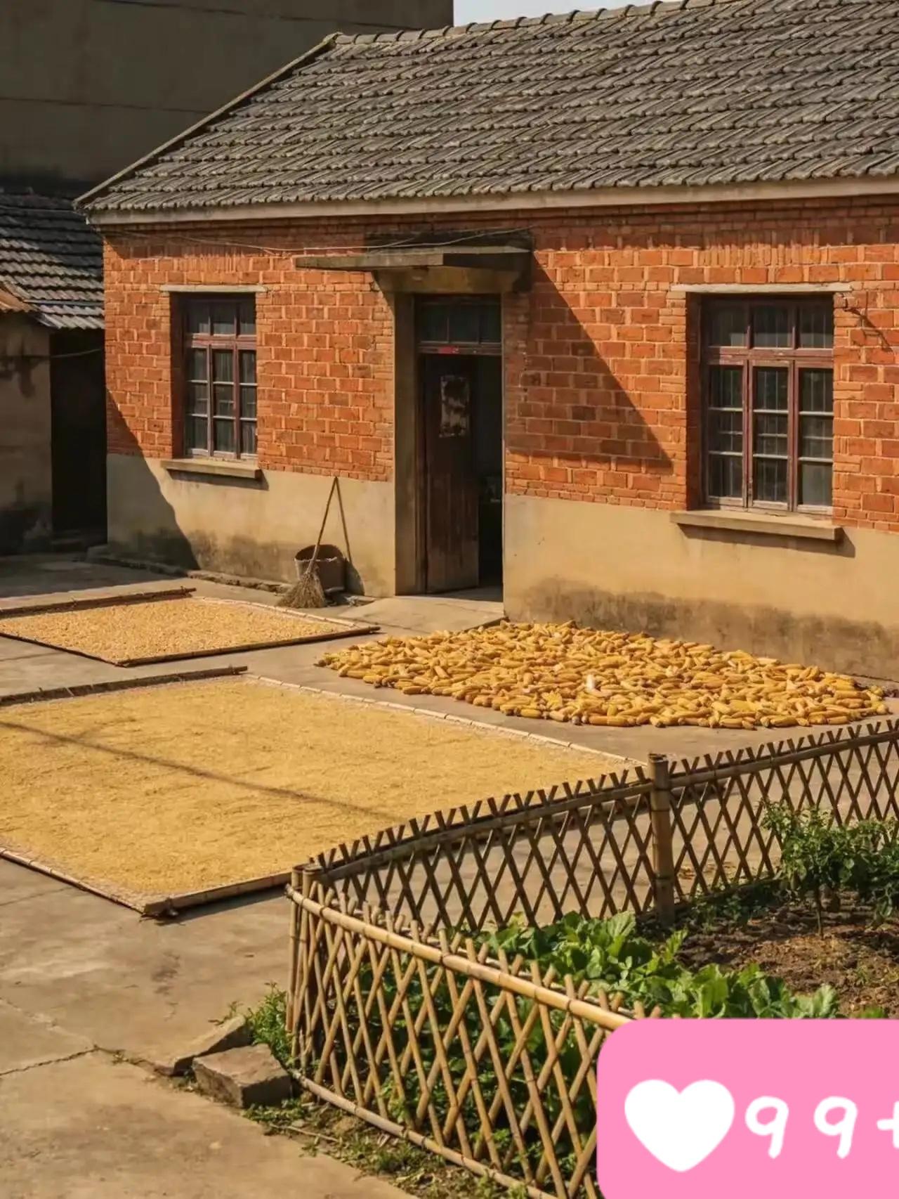 一号文件一下来，城镇户口的人估计后悔了！
2026年中央一号文件正式发布，其中关