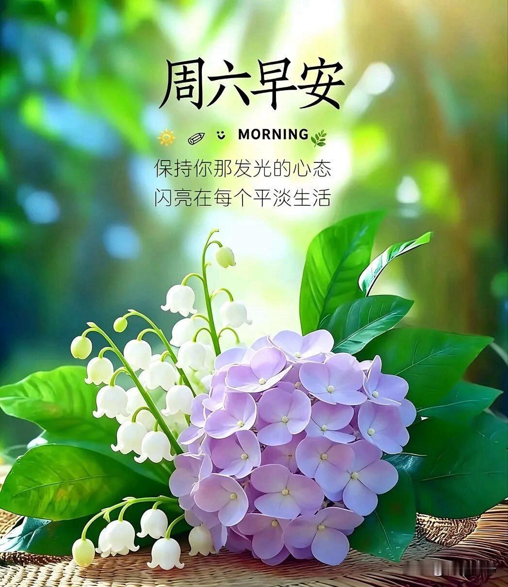 🍎 ²⁰²⁶/₀₄.₁₁🧨ᵕ̈ 🐎🍃🌻🍒🍡
🍃𝐌𝐨𝐫𝐧?