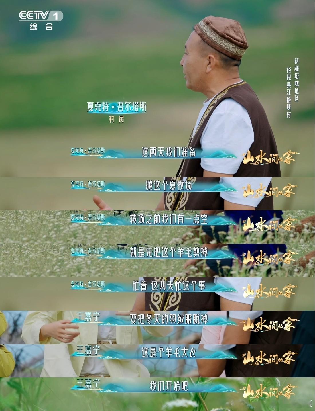 新疆小羊有专属理发师剪羊毛有多解压新疆小羊安排上专属理发师，褪去厚重的羊毛，一堆