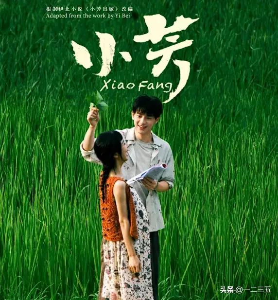 【《小芳》里的小芳已不是村里那个小芳】

看到网友对央视剧《小芳》议论，我一声长