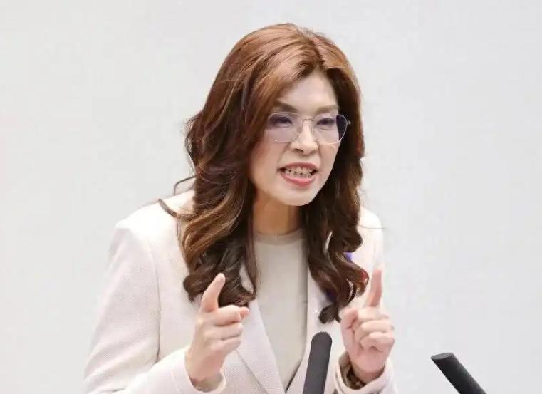 国民党主席郑丽文正式发声，10月29日，郑丽文出席新北市党部的国民党132周年党