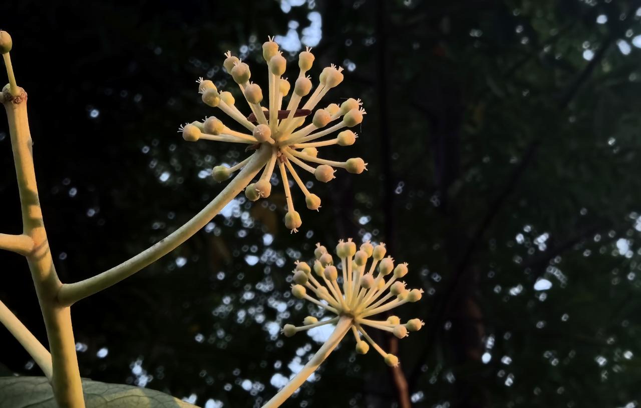 【热评】高速公路的危险不是危言耸听
两人因车辆没电在高速推车被撞身亡

广东一起