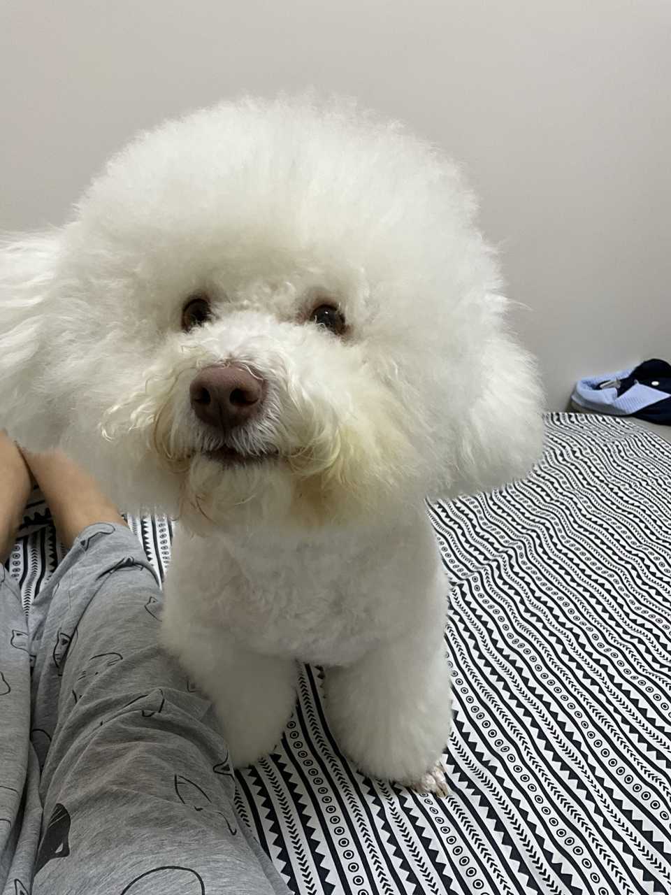 心灵丑，每天都用我的床擦屁股！