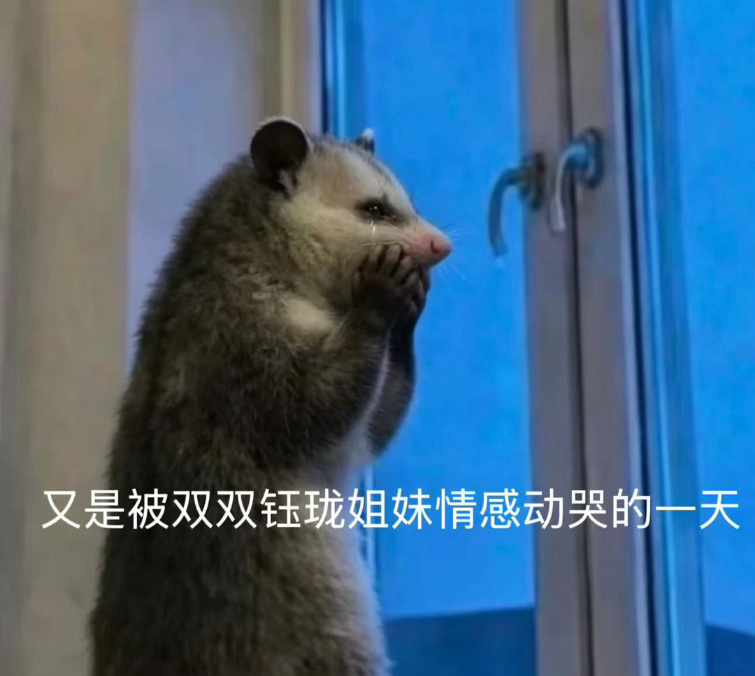 拧巴的人需要一个引导型钰珑 双双最幸运的不是遇到了替她做选择的人，是遇到了陪她做