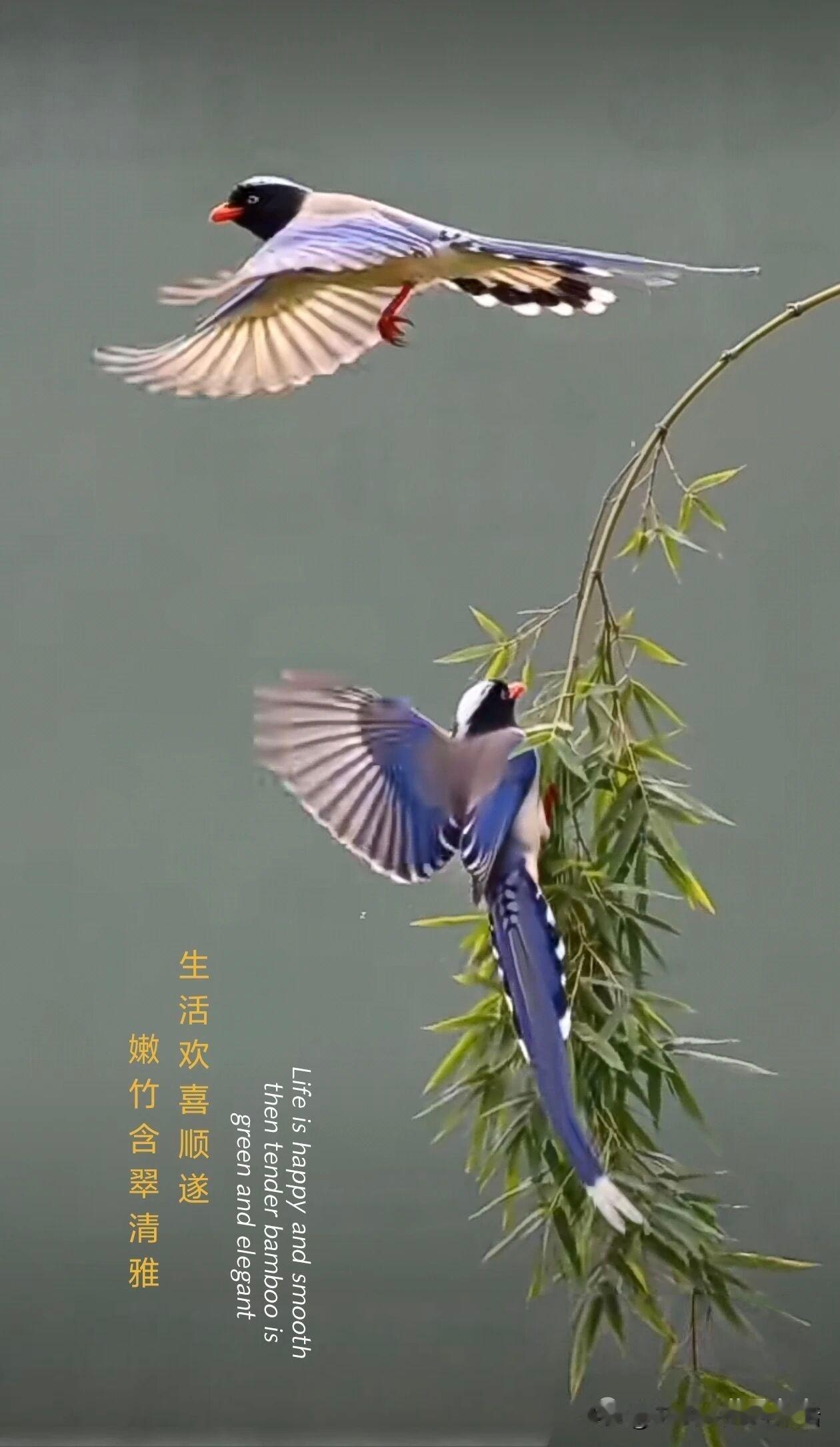 说起少年足球，就要有自己的观点，哪怕是和别人不同，也绝不沉默禁声。如果大家都不愿